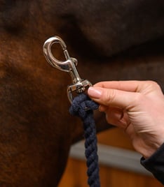 Karabina k vodítku 9cm