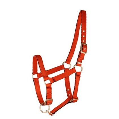 Ohlávka Mini Shetty červená