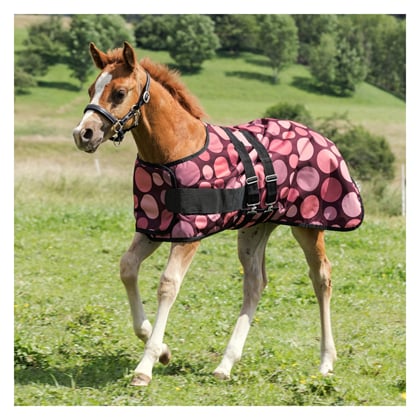 Deka výběhová s fleecem hříbě, poník Horse Friends