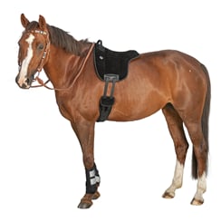 Bareback Pad L-pro West černý - pad cerny 3