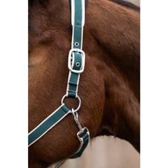 Ohlávka s vodítkem HKM green - set magenta green 3