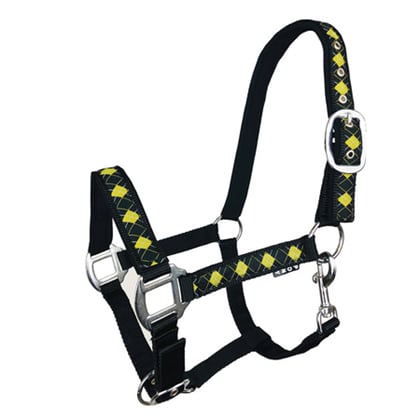 Ohlávka podložená Káro black/yellow