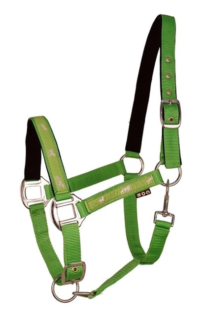 Ohlávka Api Active Horse zelená