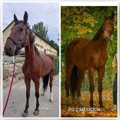 UNIQORN MINERAL POWER 3 kg - MINERAL 3