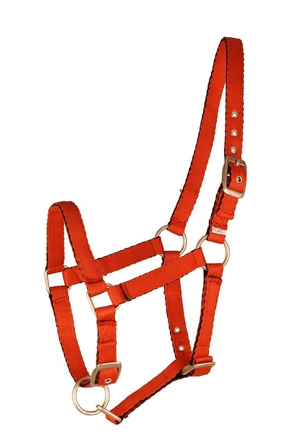 Ohlávka hříběcí Fair Play červená