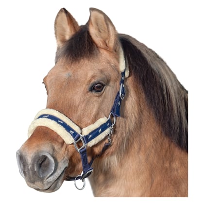 Ohlávka s výšivkou koníků s beránkem modrá