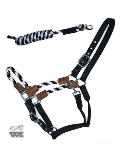 Ohlávka s vodítkem 3m black