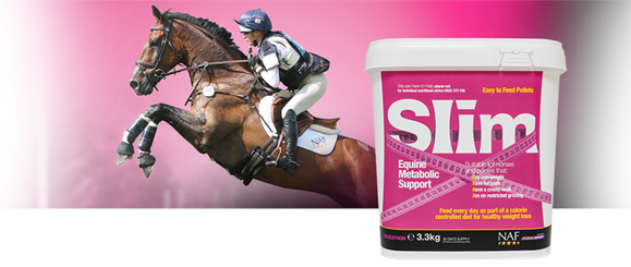 Slim pro zdravé hubnutí - 686_d7dece73_slim.png