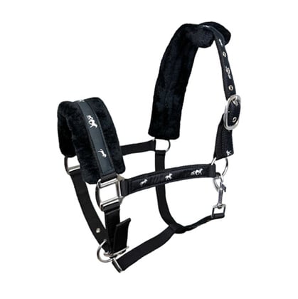 Ohlávka podložená beránkem Softy černá