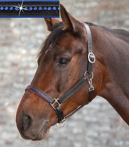 Ohlávka kožená s modrými kamínky 