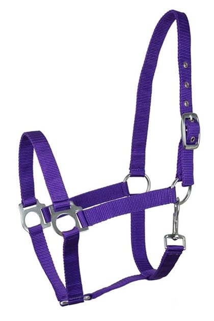 Ohlávka nylonová Fair Play fialová