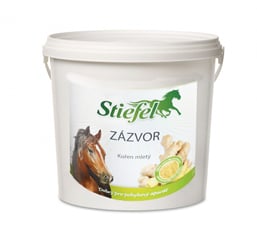 Zázvor - 321_d4b21b65_ingwer_cz.jpg