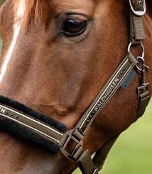 Ohlávka Elegant Waldhausen khaki - elegant khaki 3