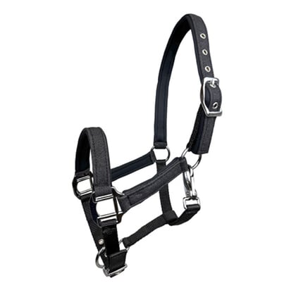 Ohlávka podložená třpytivá černá