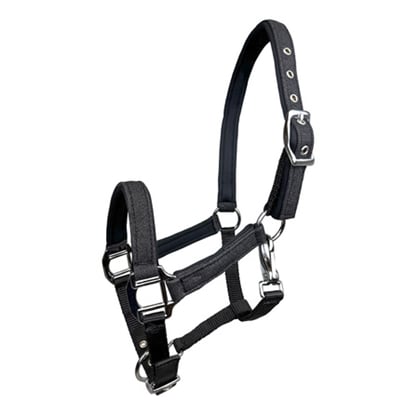 Ohlávka podložená třpytivá černá