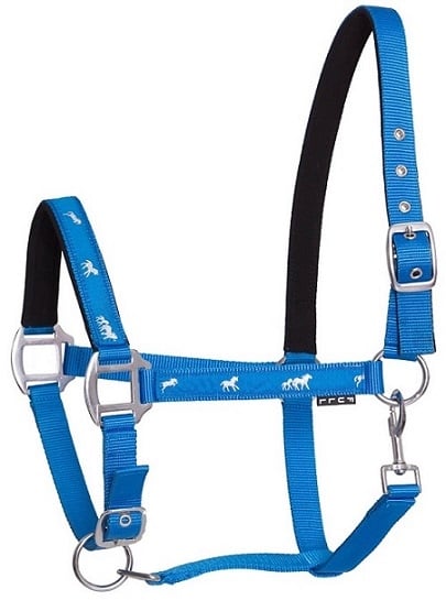 Ohlávka Api Active Horse azurovo/tyrkysová