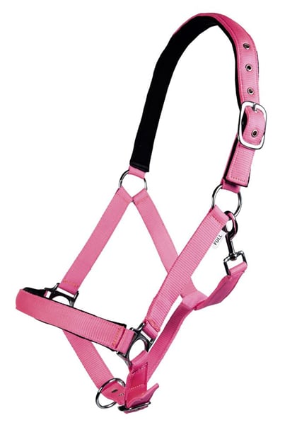 Ohlávka podložená HKM  Softice neon růžová