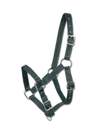 Ohlávka Mini Shetty tmavě zelená