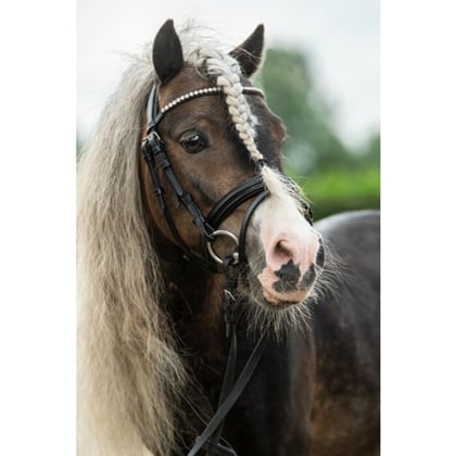 Uzdečka HKM -Diamond Shetty- pro poníky