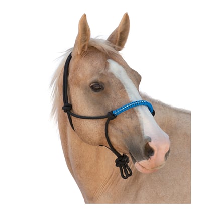 Ohlávka provazová s kamínky černo/modrá