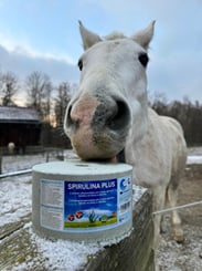 Minerální liz z mořské soli se spirulinou bohatou na vitamíny a esenciální živiny - 929_c17f89d8_72bda4bd-ffbf-4609-8d04-38c2b2a31a33.jpeg