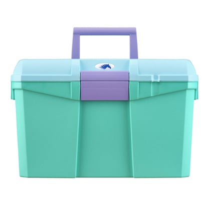 Box na čištění mátový