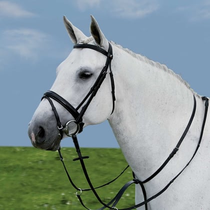 Martingal kožený černý