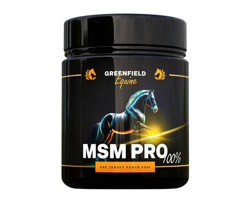 MSM PRO 100% v prášku - klíč k zdravým kloubům a rychlé regeneraci