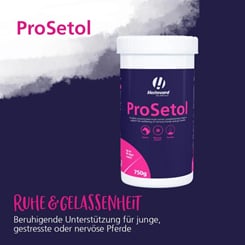 Koncentrovaný přípravek na zklidnění nervózních koní Veterinary ProSetol - 1042_d792fea7_prosetol_produktbilder_sm.jpg