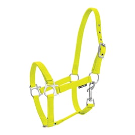 Ohlávka hříběcí limetková