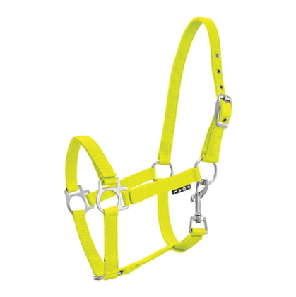 Ohlávka hříběcí limetková