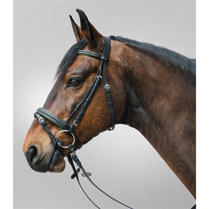 Uzdečka Diamond se zelenými kamínky