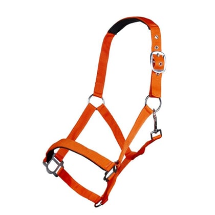 Ohlávky podložená pony HKM -Sydney- oranžová