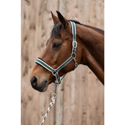 Ohlávka s vodítkem HKM green - set magenta green 2