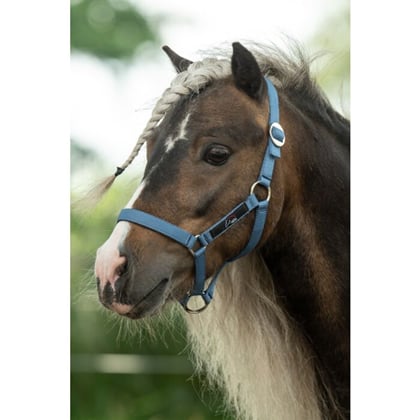 Ohlávka HKM Minishetty kouřové modrá