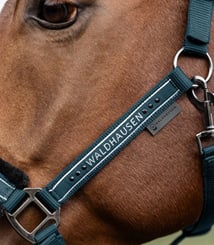 Ohlávka Elegant Waldhausen Petrolej - petrol 3