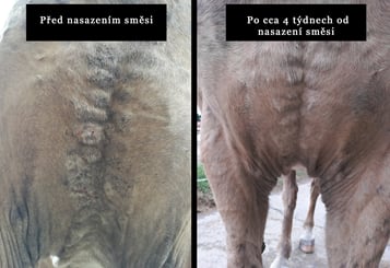 Herbal Horse NR°9 Muchař 0,5kg - muchar 3