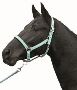 Ohlávka podložená Star sv.modrá