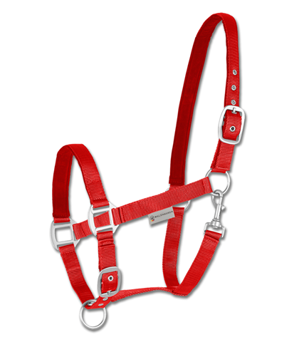 Ohlávka podložená Satin červená