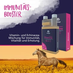 Koncentrovaná směs vitamínů a echinacey Veterinary Vitatone Immune - 1041_3cd62592_prof_vitone_immune_pb4.jpg