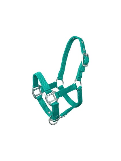 Ohlávka Mini Shetty zelená