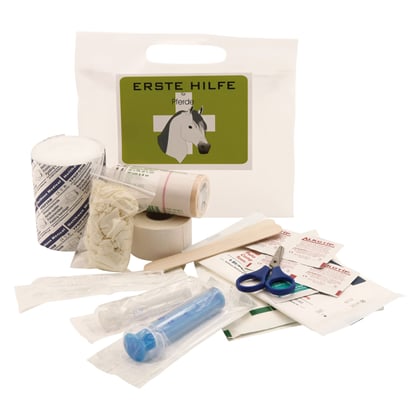 Lékarnička pro koně Loesdau