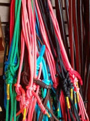 Provazová ohlávka -BANG- Mix barev - BANG 2