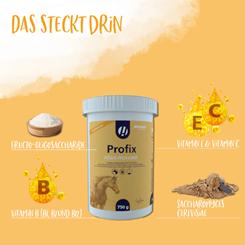 Koncentrovaný probiotický a vitamínový komplex Veterinary Profix - 1047_a6ede726_profix_produktbilder3.png
