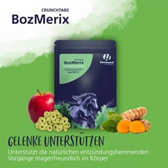 Bozmerix - revoluční Vitamlsky proti zánětům a pro zdravé klouby - 970_86304e91_bozmerixcrunchtabs_pb8.jpg