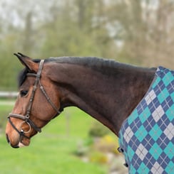 Deka odpocovací Dalia tyrkysová/modrá - deka tyrkys 3