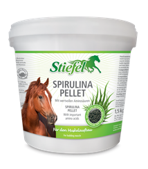 Spirulina pro nasvalení a svalový metabolismus - 804_99e709fb_spirulina1-5kg.png
