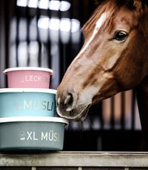 Plastová dóza na pamlsky 2l světlý tyrkys - misky mix