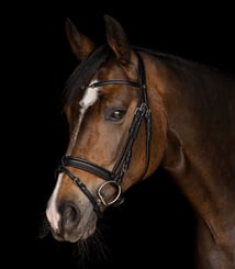 Uzdečka X-Line Charmbit black - uzdecka 4