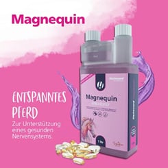 Magnequin s L-tryptofanem, hořčíkem a vitamínem B12 pro klid a uvolnění - 973_c56d66c3_magnequin_24-01-2024.jpg